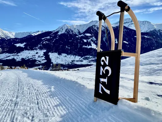 7132 Schlitten Landscape