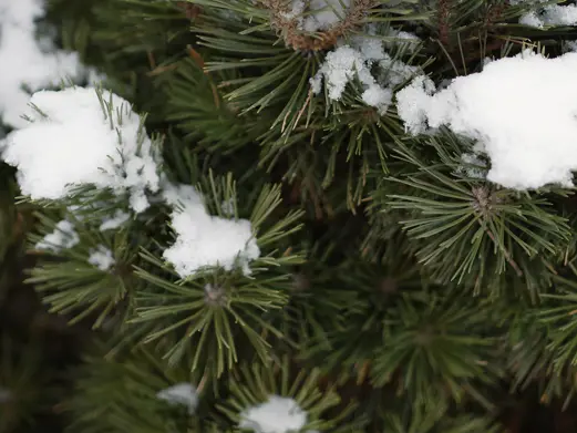 7132 Hotel Scenic Retreats Vals Jolieimaje 230119 32