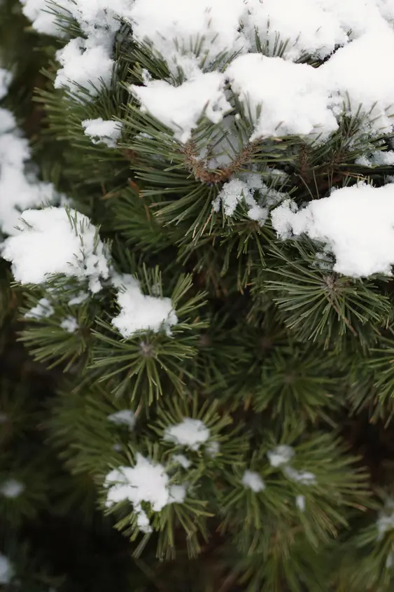 7132 Hotel Scenic Retreats Vals Jolieimaje 230119 32